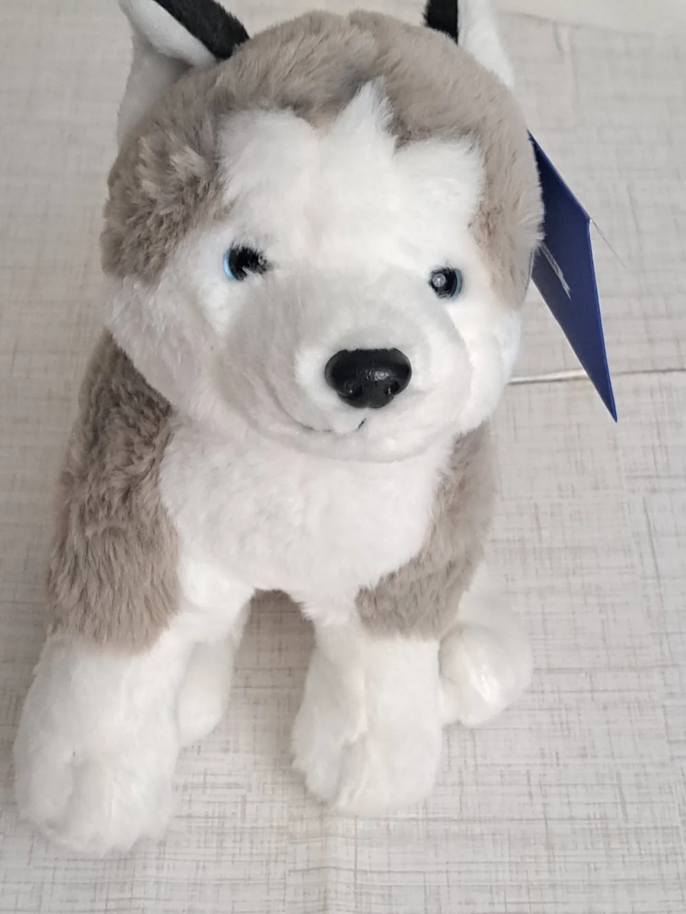 Hugs & Cuddles Rescue Center Husky Dog Toy - Gray & White Soft Chew Plush